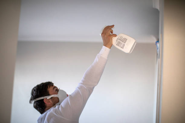 Best Attic Mold Remediation in Jones Valley, CA